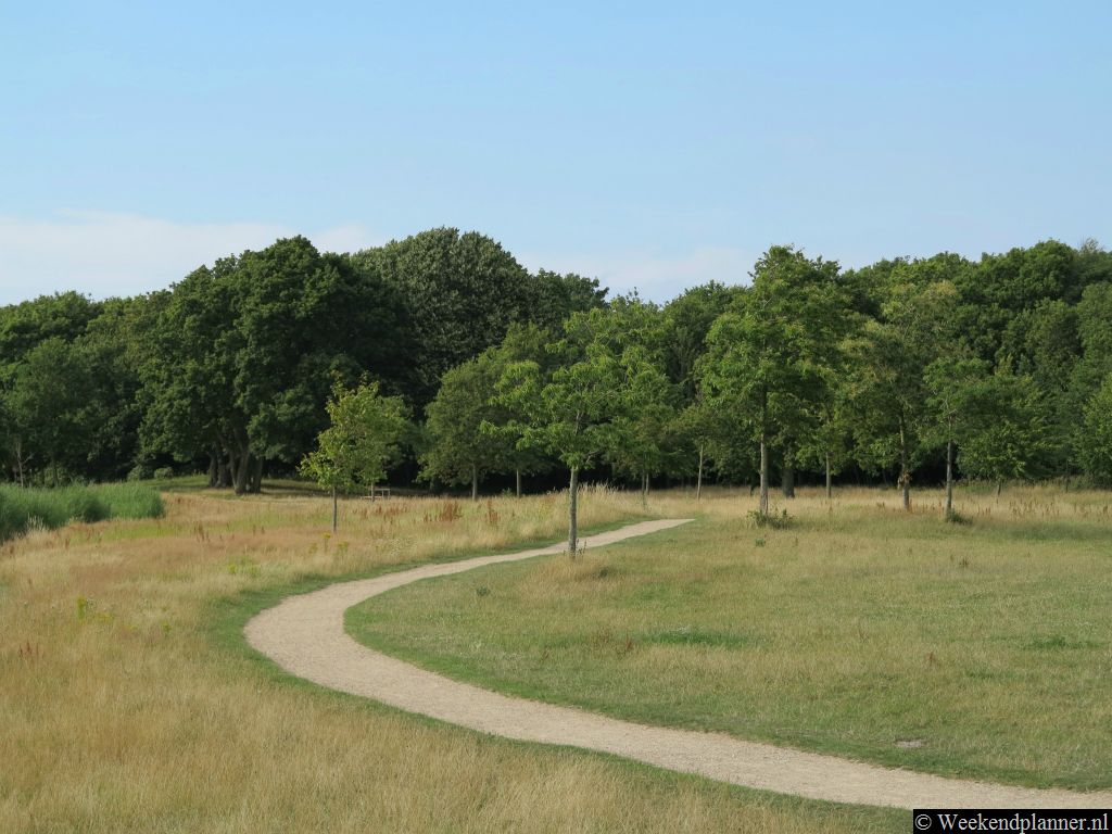 Het hostel Kasteel Westhove ligt in het natuurgebied de Manteling. Vanuit het kasteel kun je naar Domburg wandelen en fietsen. Er lopen veel fietspaden door het natuurgebied.Tip: Fietsen in de buurt.